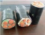 VJV22-YJV22礦用鎧裝電力電纜3X4+1X2.5結(jié)構(gòu)與應(yīng)用解析